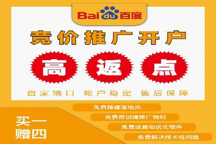 行业领先：竞价SEM托管案例剖析
